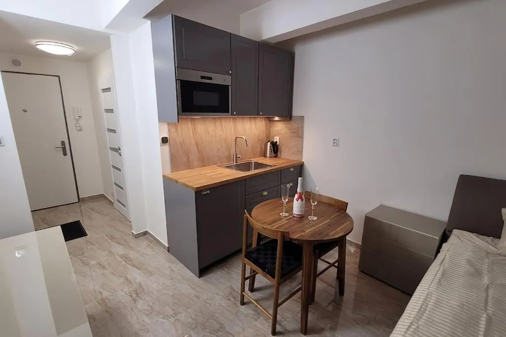 Luxusni Apartman Nedaleko Centra Praag