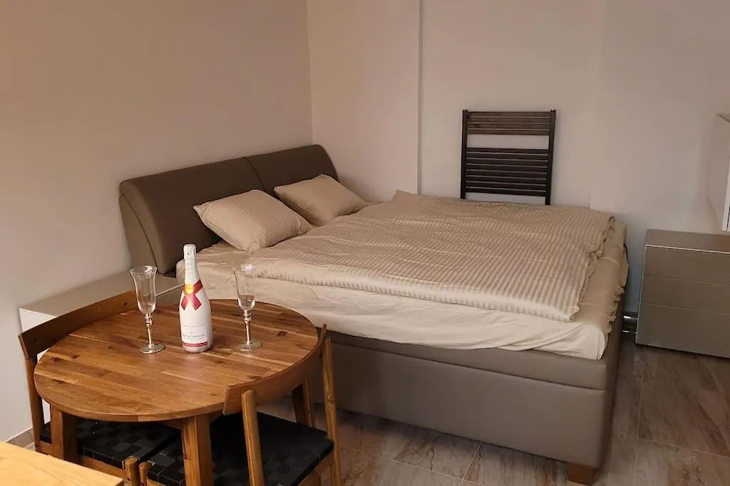 アパート Luxusni Apartman Nedaleko Centra プラハ