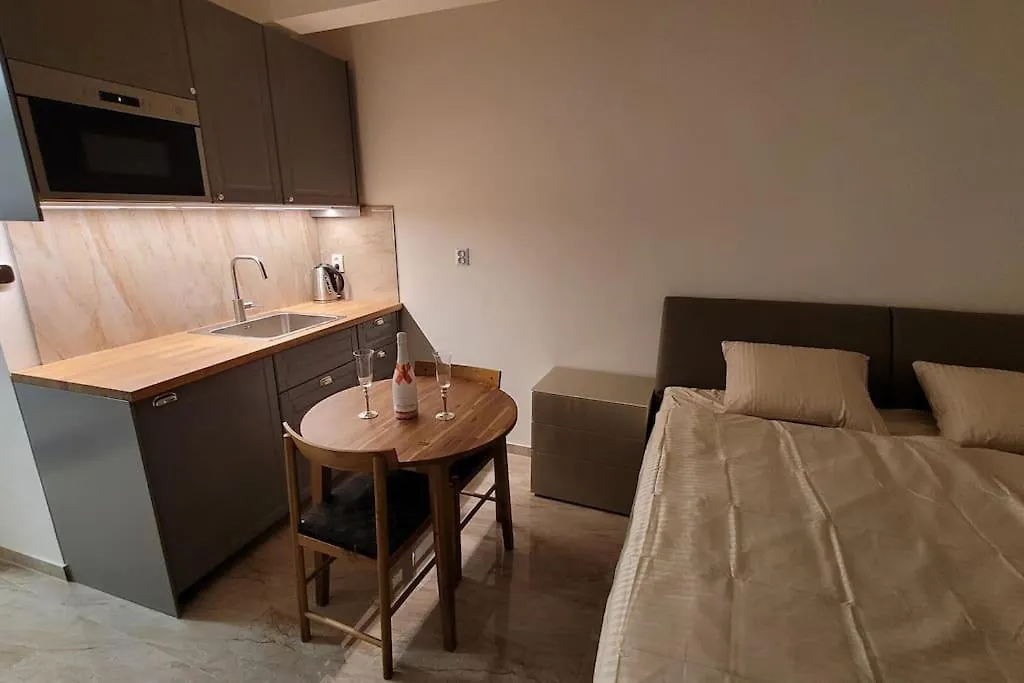 Appartement Luxusni Apartman Nedaleko Centra Praag Tsjechië