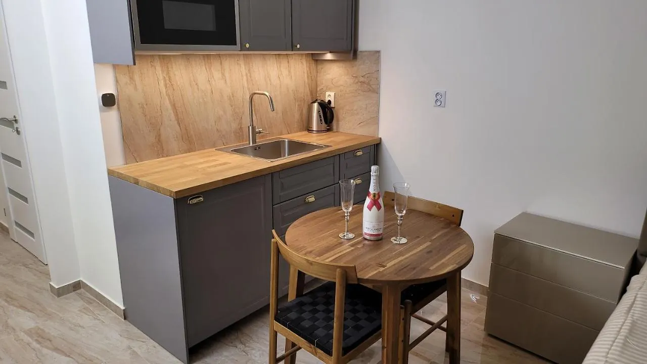 Luxusni Apartman Nedaleko Centra プラハ
